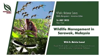 Wildlife Management in Sarawak, Malaysia | NParks Wildlife Webinar Series