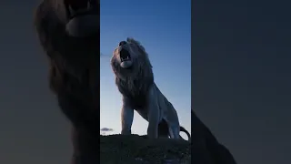 король Лев 🦁🦁🦁🦁 фильм