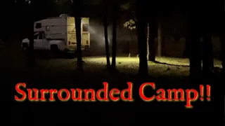 Coyotes HOWLING And Surround Truck Camper