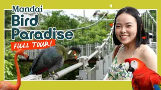 BIRD PARADISE SINGAPORE | FULL TOUR | What to do and where to eat | Mandai Wildlife Reserve