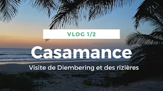 Voyage en Casamance - Mon aventure en Ferry, Découverte de Diembering et Cap Skirring