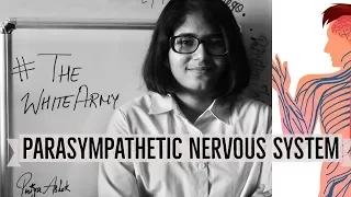 PARASYMPATHETIC NERVOUS SYSTEM (ANS PART -2) | The White Army