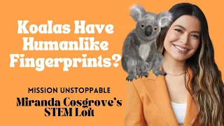 Koalas Have Humanlike Fingerprints? | STEM Loft EP.2