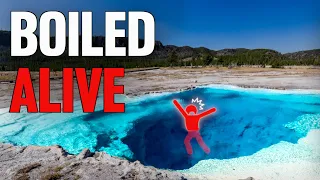 Horrible Fates In Yellowstone National Park