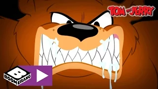 Tom & Jerry | Bear Cave | Boomerang UK