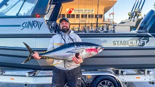 Yellowfin Tuna Catch and Clean