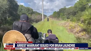 Gabby Petito: New details & analysis on arrest warrant for Brian Laundrie | LiveNOW from FOX