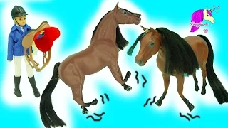 Paradise Poz-ABLES English Rider Doll + Bendy Horse Stretches & Horse Yoga?