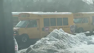 Lots of School Buses- Friday School Bus spotting!
