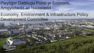 Swansea Council - Economy, Environment & Infrastructure Policy Development Committee 18 Feb 2021