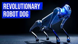 Meet Go2 Pro: $5000 Robot Dog Who Can Run Faster Than You