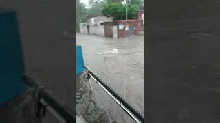 Flood in kasur city after rain in Pakistan 2022