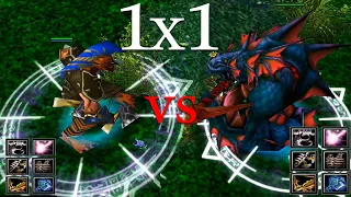 Stillhreen Guard vs Troll Warlord | 25 Level Same item | WHO WILL WIN ?