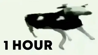 Dancing Polish Cow at 4am 1 hour version