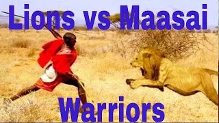 Lions vs Maasai Warriors - Wildlife Animal (National Geographic Documentary)  জিওগ্রাফিক ডকুমেন্টারী