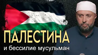 Палестина и бессилие мусульман