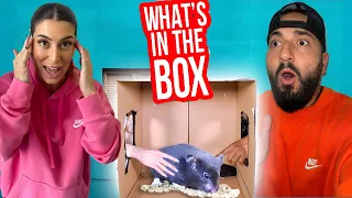 WHATS IN THE BOX CHALLENGE FT SHADIA!