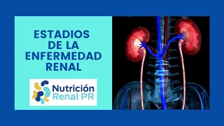 Estadios de la Enfermedad Renal Crónica