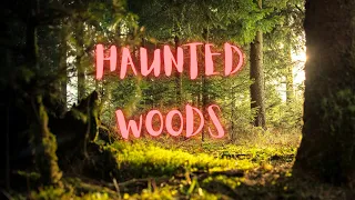 Story #29 Haunted Woods