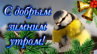 С добрым зимним утром! Пожелание доброго утра и хорошего дня.