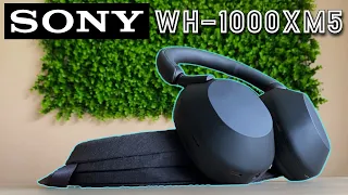 The Best Headset You Can Get?? Sony WH-1000XM5