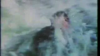 Beyond the Poseidon Adventure 1979 TV trailer