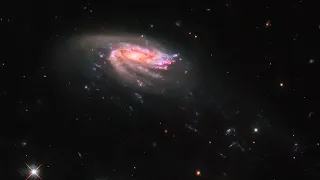 The Jellyfish Galaxy JO206 | Highly Ordered Magnetic Fields Galaxy | Deep Universe Observatory