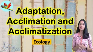 Adaptation, Acclimatization and Acclimation I Ecology I CSIR NET I GATE I NEET I IITJAM I GATB
