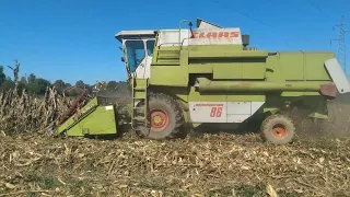 Claas dominator 86 u zetvi kukuruza