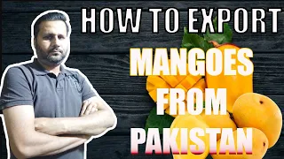 How to Export Mangoes from Pakistan? | Export Mangoes business || WORLD FAMOUS PAKISTANI MANGOES