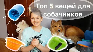 5 вещей для собачника, которые облегчают жизнь