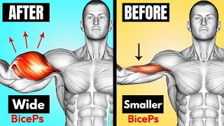 How To Build Your Biceps Workout Fast (7Best Exercises)