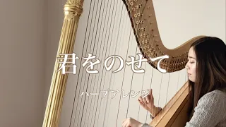 天空の城ラピュタ / 君をのせて【藝大生がハープで演奏】Laputa / Carrying you - Harp cover