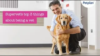 Petplan - Supervet Noel Fitzpatrick's top things about being a vet