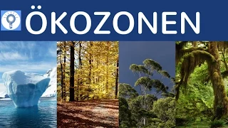 Ökozonen - Klimazonen & Vegetationszonen einfach erklärt - Überblick Geografische Landschaftszonen