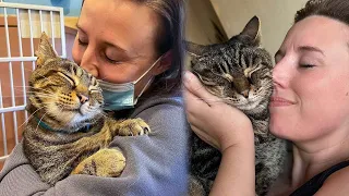 Abandoned Shelter Cat Cuddles Woman To Adopt Her