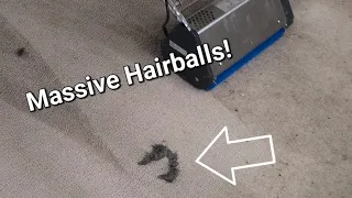 Satisfying Rat Nasty Rental Property Carpet Cleaning CRB Hairball Kickback!