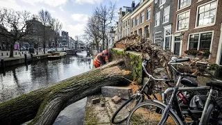 Storm Eunice: Over a dozen dead as gales sweep across northern Europe