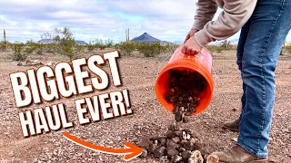 Arizona Rockhounding | Finding CRYSTALS & AGATES in the desert!