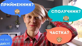 СЛУЖБОВІ ЧАСТИНИ МОВИ: як розрізнити?! 🤯 [Типове завдання ЗНО]