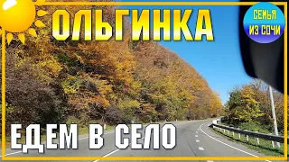 ЗОЛОТЫЕ ДУБЫ | ЕДЕМ В ОЛЬГИНКУ | ОСЕНЬ НА ПОБЕРЕЖЬЕ