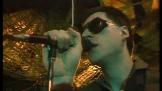 Front 242 - No Shuffle (Live 1985)