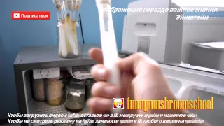 ВЕШЕНКА мицелий ХРАНЕНИЕ маркировка