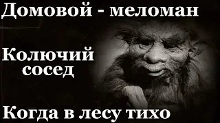 Истории на ночь (3в1): 1.Домовой - меломан, 2.Колючий сосед, 3.Когда в лесу тихо