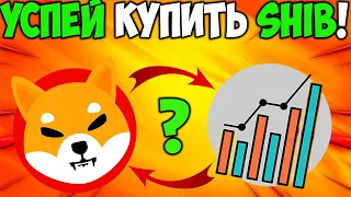 Разработчики Shiba Inu Запускают Обновление - Стоит Ли Покупать SHIB?