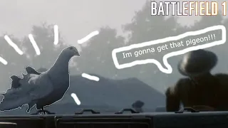 That one time you play as a pigeon | BattleField 1