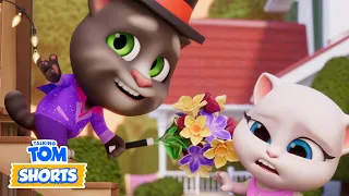 ⭐️ Angela’s Talent Show & More 🪩 Talking Tom Shorts