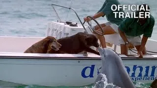 Dolphin kissing dog featured in DOLPHINS Official IMAX Trailer - Music by Sting