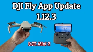 DJI Fly App Update 1.12.3 / DJI Mini 2