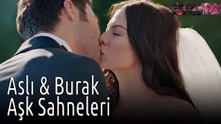 Çilek Kokusu - Aslı & Burak Aşk Sahneleri